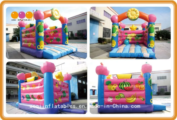 Birthday Party Decorations Inflatable Fruit Bouncer (AQ01531)