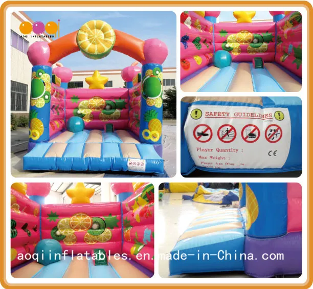 Birthday Party Decorations Inflatable Fruit Bouncer (AQ01531)