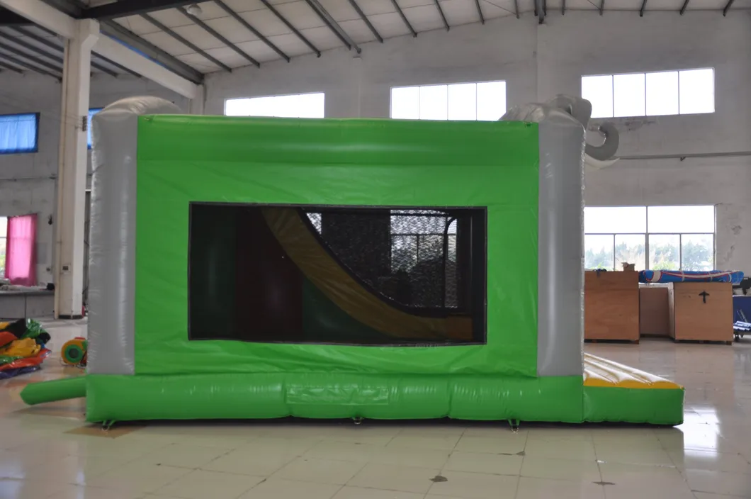 Birthday Party Inflatable Bouncy Bed (AQ758-6)