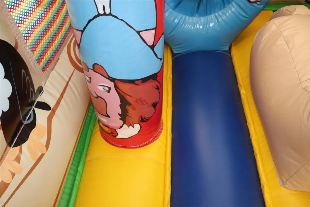 Catoon Theme Inflatable Jumping Bounce (AQ02151-2)