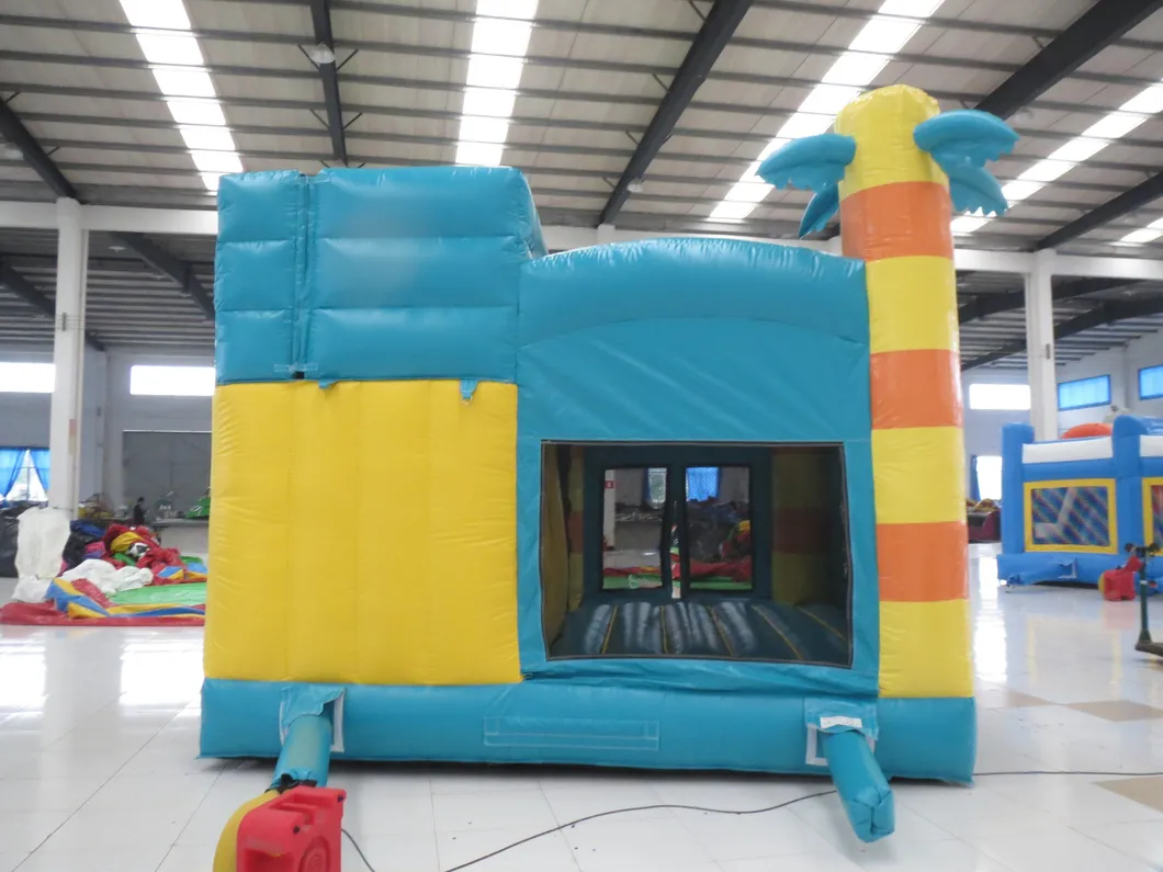 Cheap Inflatable Bouncy and Slide Combo (AQ735-5)