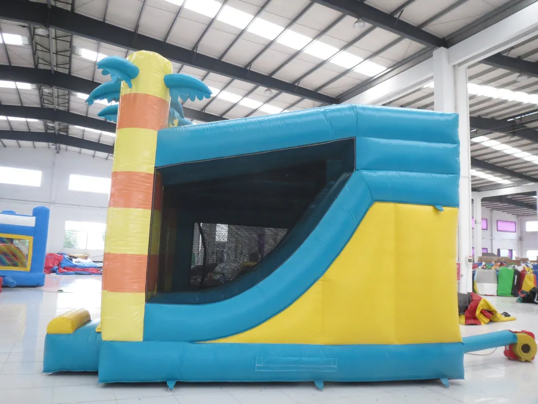 Cheap Inflatable Bouncy and Slide Combo (AQ735-5)