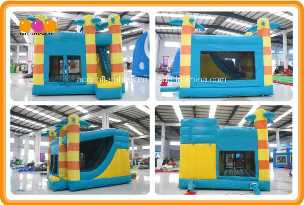 Cheap Inflatable Bouncy and Slide Combo (AQ735-5)