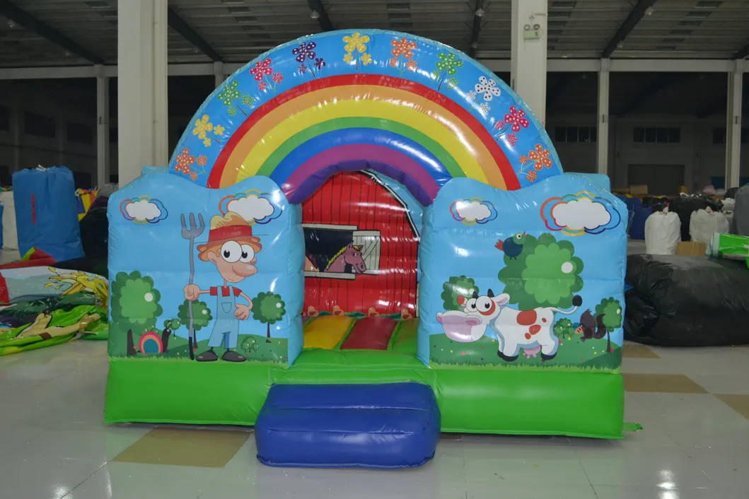 China Inflatable Children′s Playground Animal Theme Rainbow Bouncer with Cartoon Painting (AQ0105-1)