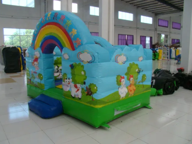 China Inflatable Children′s Playground Animal Theme Rainbow Bouncer with Cartoon Painting (AQ0105-1)