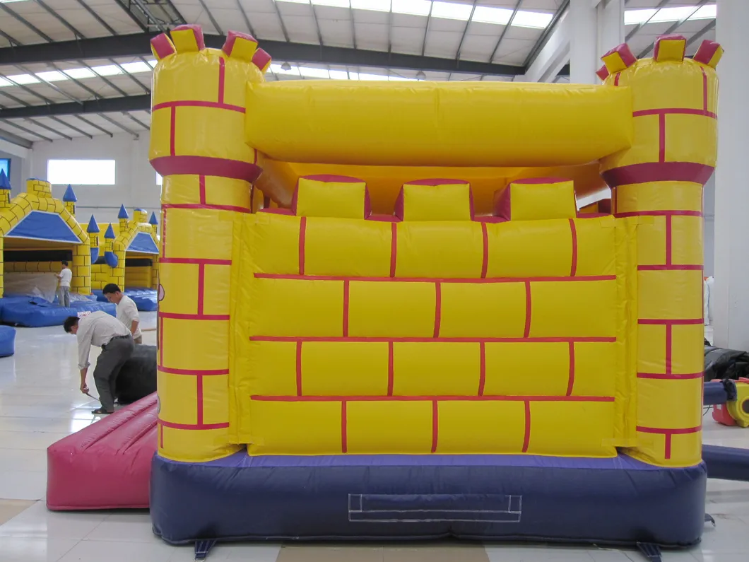 Commercial Use Inflatable Castle with Certificate (AQ558)