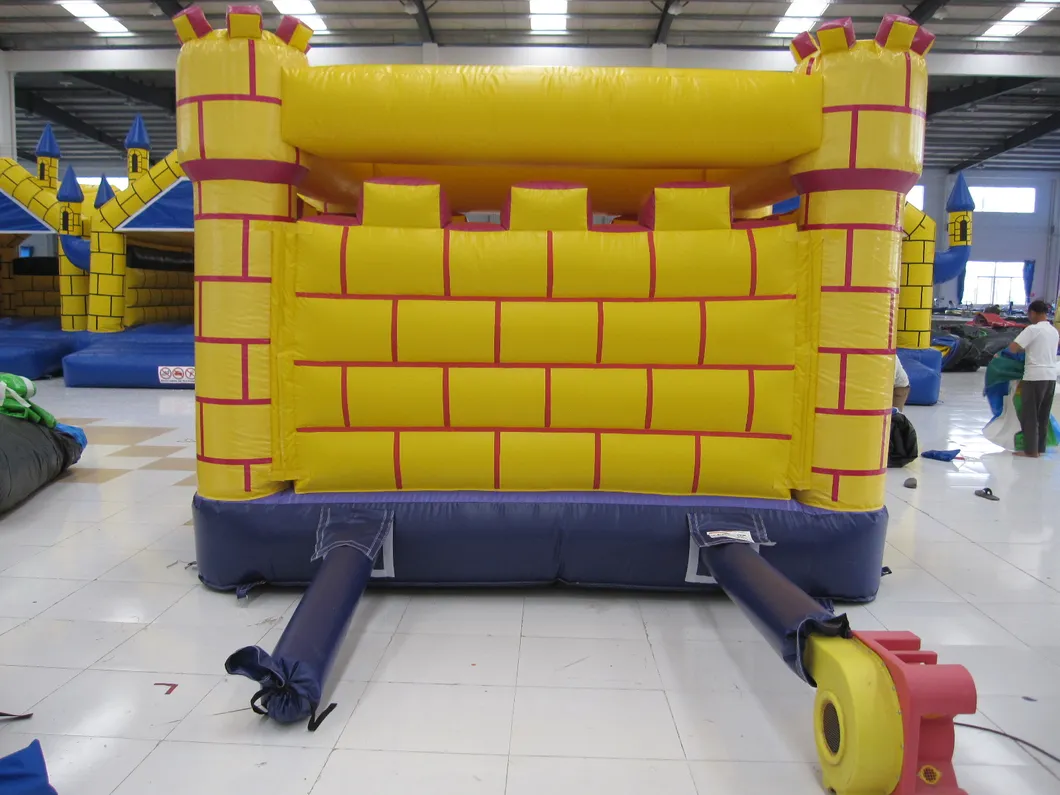 Commercial Use Inflatable Castle with Certificate (AQ558)