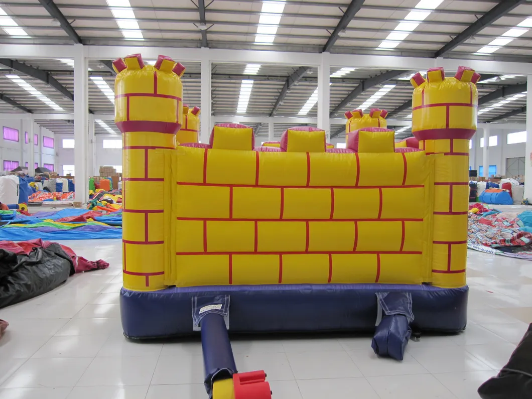 Commercial Use Inflatable Castle with Certificate (AQ558)