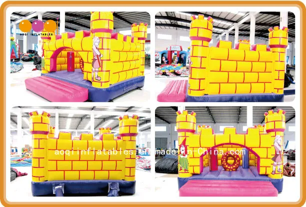 Commercial Use Inflatable Castle with Certificate (AQ558)