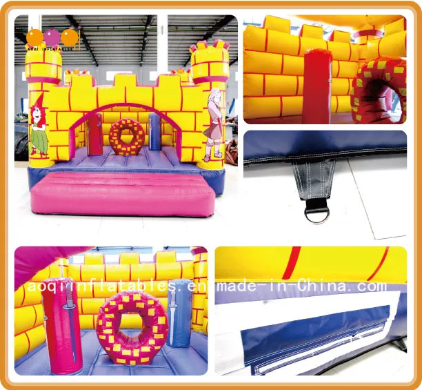 Commercial Use Inflatable Castle with Certificate (AQ558)