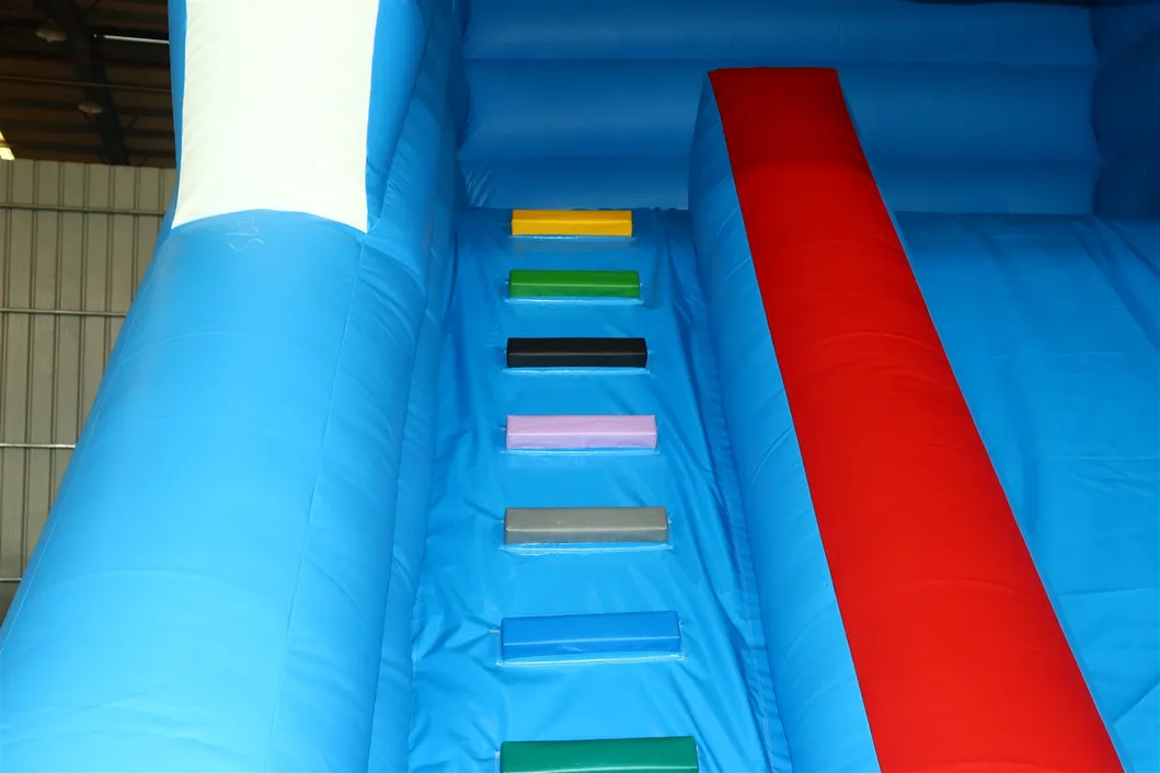 Dolphin Inflatable Water Slide Poolside Slide with Pool