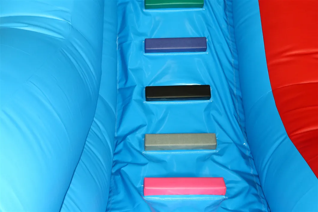 Dolphin Inflatable Water Slide Poolside Slide with Pool