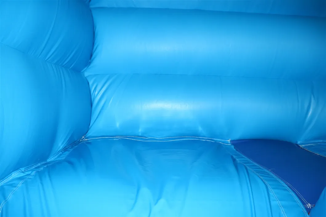 Dolphin Inflatable Water Slide Poolside Slide with Pool