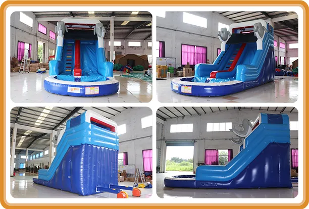 Dolphin Inflatable Water Slide Poolside Slide with Pool