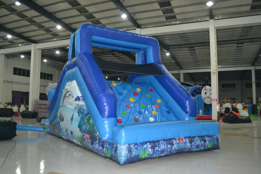 Dolphin Infltable Water Slide with Pool (AQ1079)