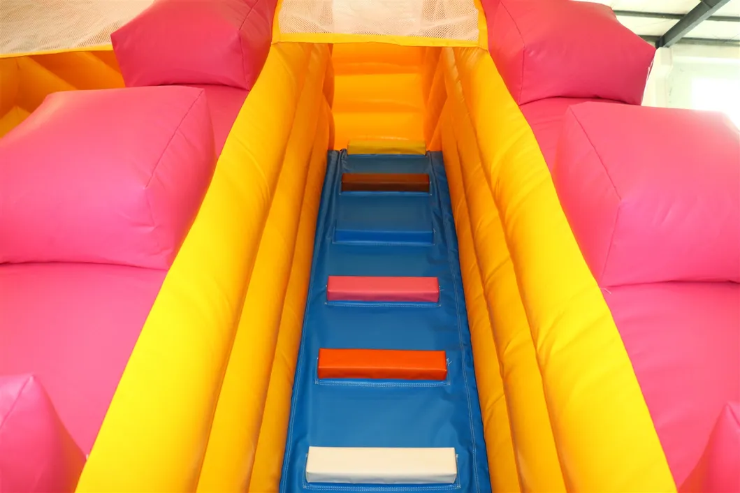 Durable Material Castles Inflatable Slide for Kids (AQ1109)