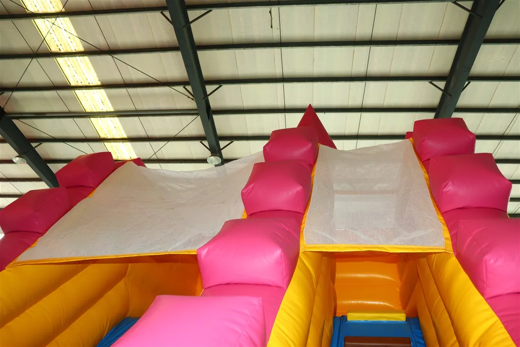 Durable Material Castles Inflatable Slide for Kids (AQ1109)