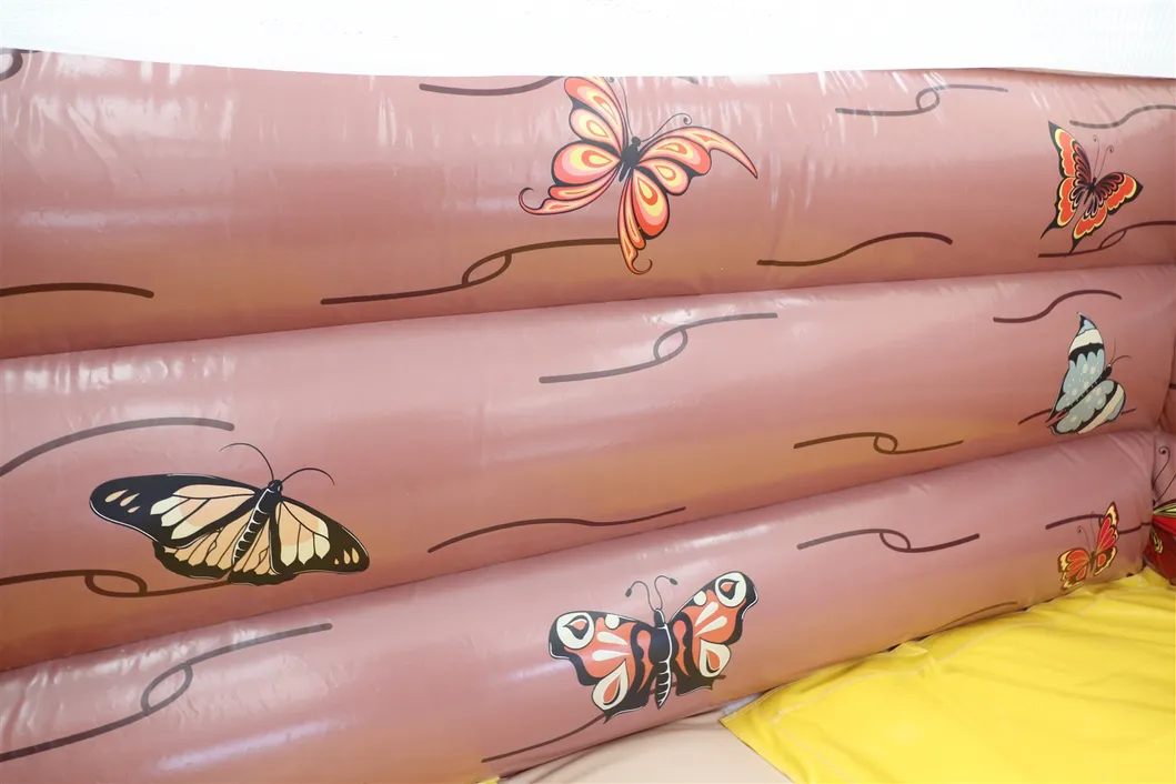 Factory Price Inflatable Slide Toy for Sale (AQ917-2)