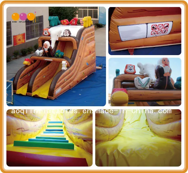 Factory Price Inflatable Slide Toy for Sale (AQ917-2)