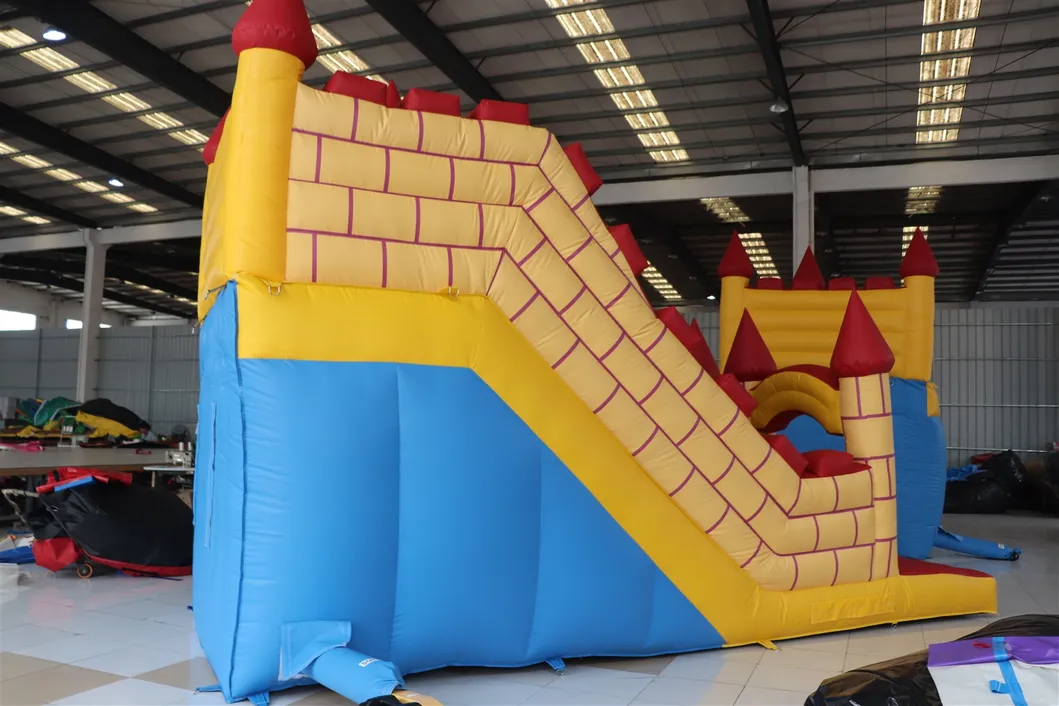 Funny Inflatable Water and Dry Slide (aq1109)