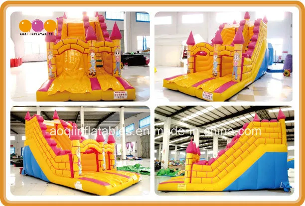 Funny Inflatable Water and Dry Slide (aq1109)