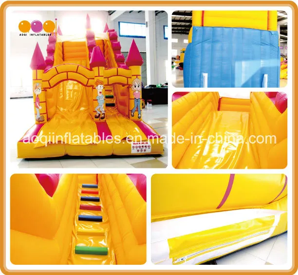 Funny Inflatable Water and Dry Slide (aq1109)