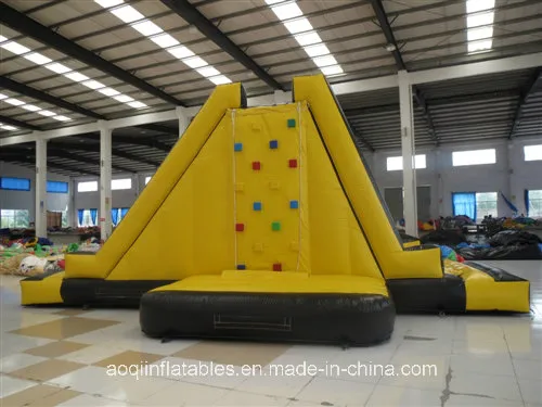 Giant Inflatable Water Slide for Children (AQ09119)