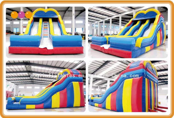 Giant Inflatable Water Slide for Children (AQ09119)