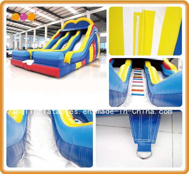 Giant Inflatable Water Slide for Children (AQ09119)