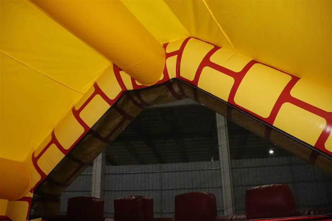 Home Used Inflatable Castle Bounce House (AQ580)