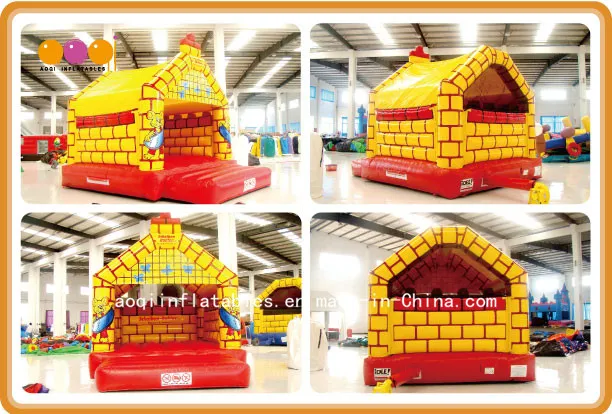 Home Used Inflatable Castle Bounce House (AQ580)