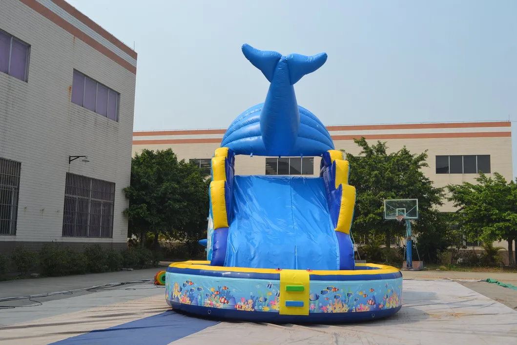 Hot Selling Shark Shape Inflatables Slide with Swimming Pool (AQ139)