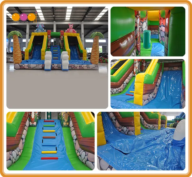 Indoor Water Park Animal Theme Dual Lanes Inflatable Water Slide (AQ01743)