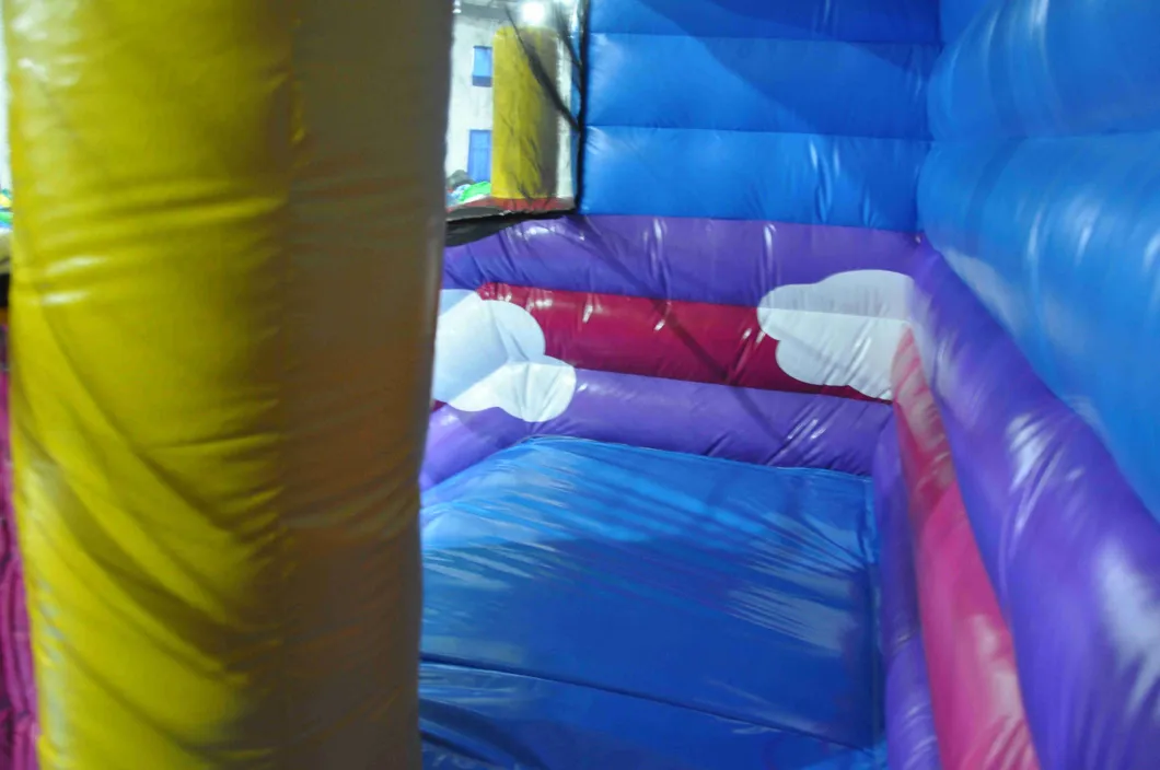 Inflatable Rainbow Slide with Bouncer (AQ01519)