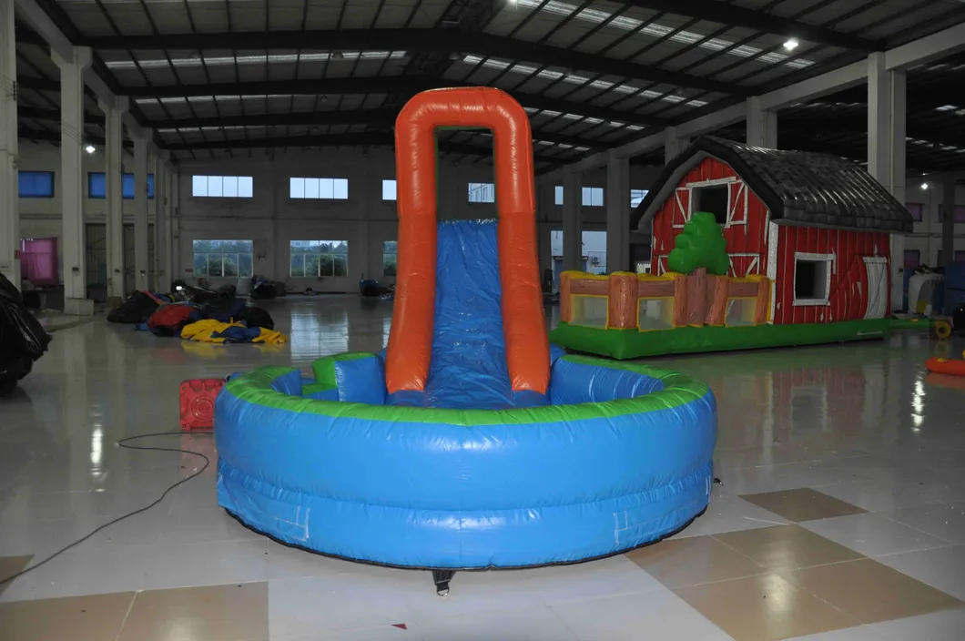 Inflatable Slides with Small Swimming Pool (AQ1063)