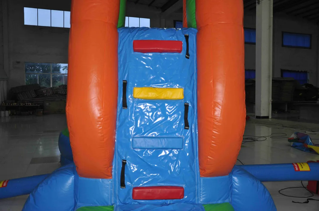 Inflatable Slides with Small Swimming Pool (AQ1063)