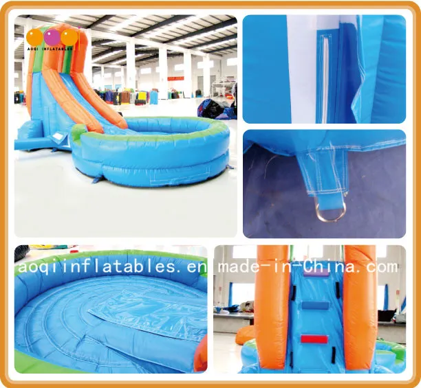 Inflatable Slides with Small Swimming Pool (AQ1063)