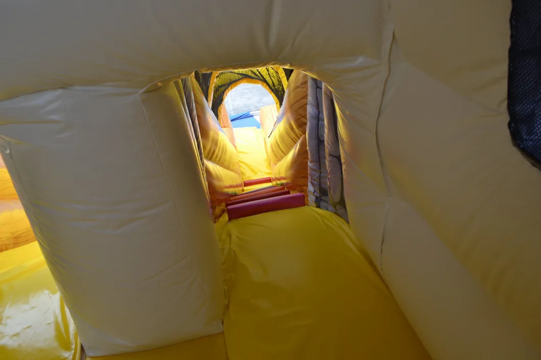 Inflatable Yellow Duck Funy Slide (aq01498)