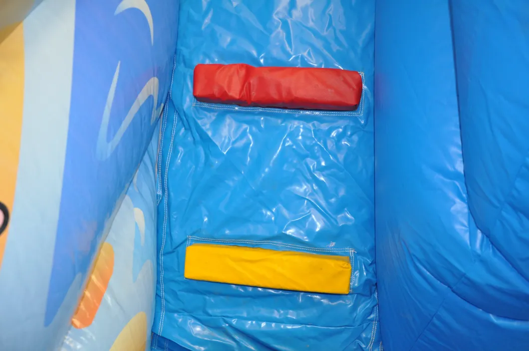 Interesting Toys Surfing Season Inflatablke Water Slide (AQ01565)