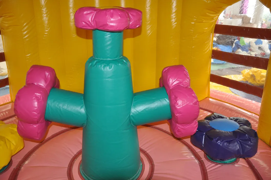 New Design Inflatable Dome Castle Bouncer (AQ02369)