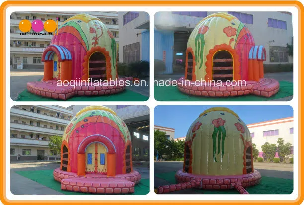 New Design Inflatable Dome Castle Bouncer (AQ02369)