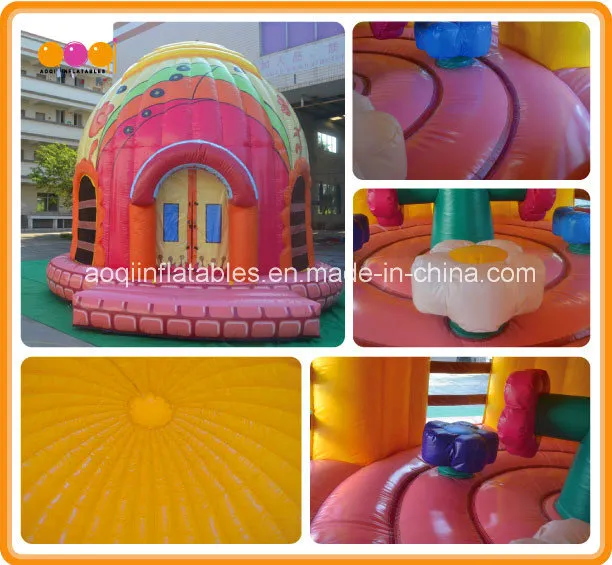 New Design Inflatable Dome Castle Bouncer (AQ02369)