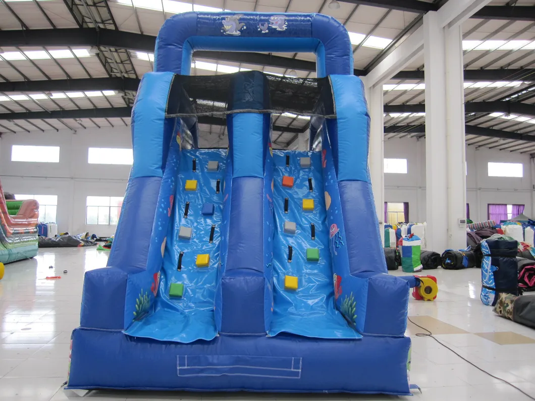 Ocean Fish Inflatable Water Slide (aq1078)