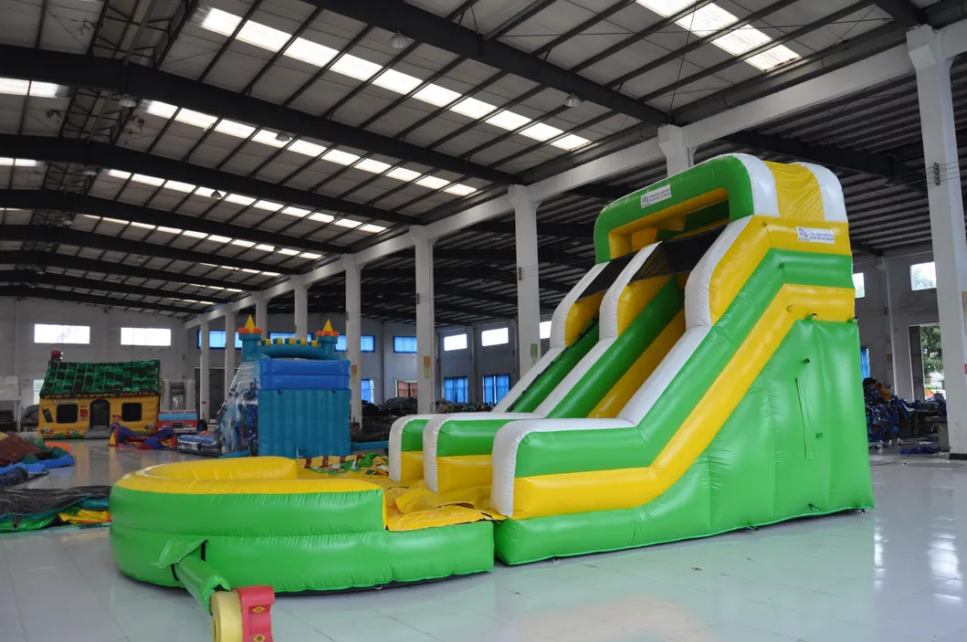 Outdoor Inflatable Water Slide with Pool for Kid (AQ1024)