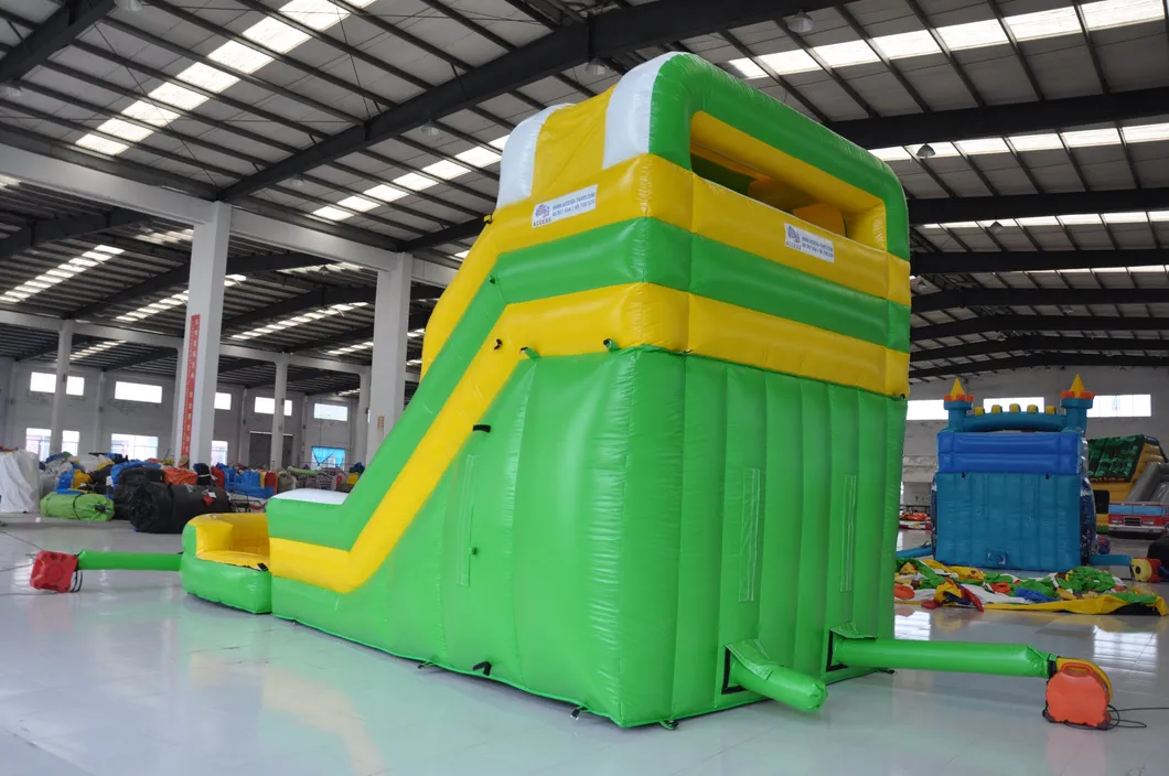 Outdoor Inflatable Water Slide with Pool for Kid (AQ1024)