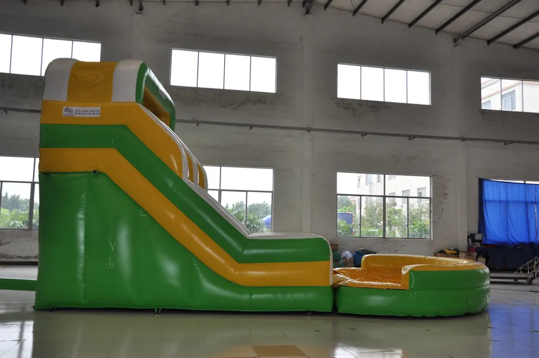 Outdoor Inflatable Water Slide with Pool for Kid (AQ1024)