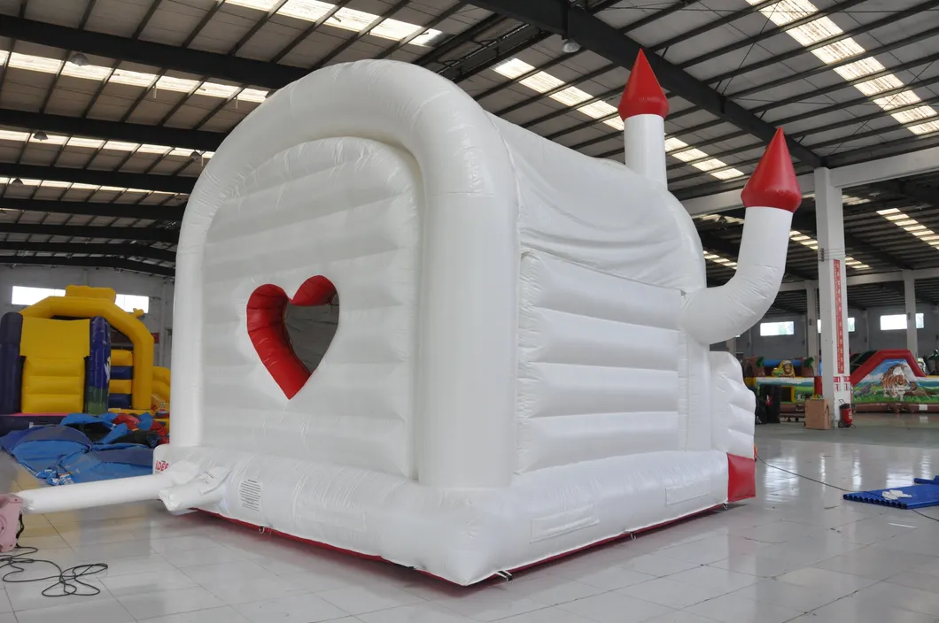 Popaular Hot Sell 2019 Hard Shape Inflatables Castles Bouncer (AQ519-13)