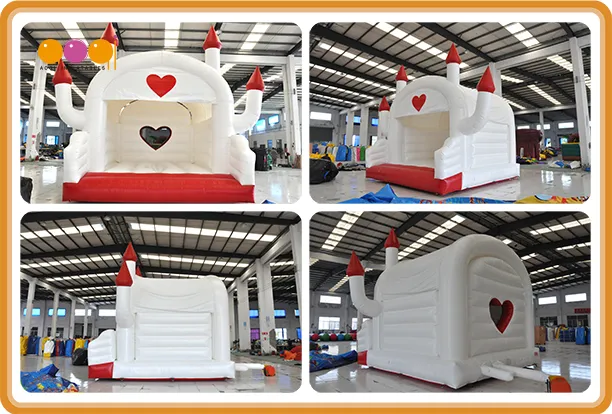 Popaular Hot Sell 2019 Hard Shape Inflatables Castles Bouncer (AQ519-13)