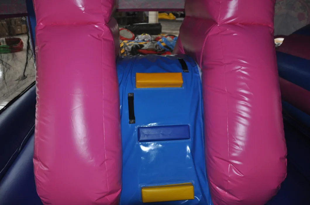 Princess Inflatable Castle for Kid Party (AQ583)