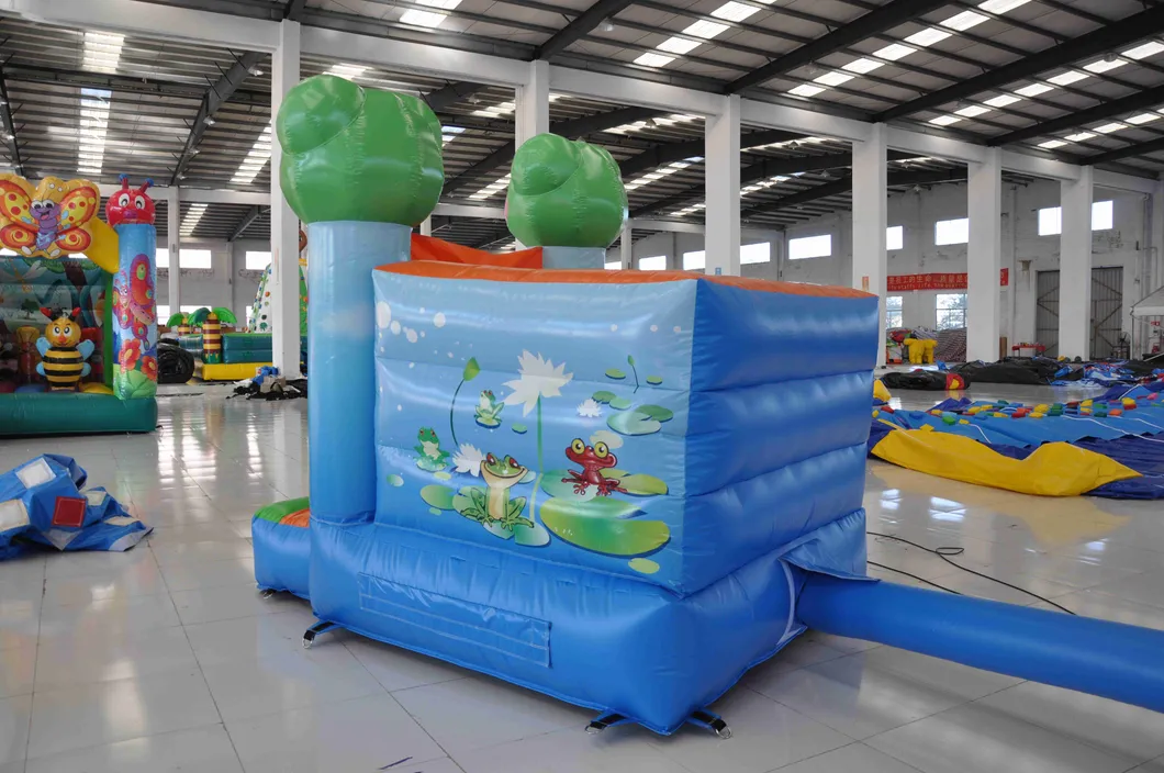 Small Jump Inflatable Frog Combo Bouncer for Sale (AQ2384)